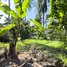  Terreno (Parcela) en venta en Serengan, Lombok, Serengan