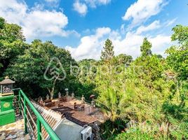  Grundstück zu verkaufen in Gianyar, Bali, Tegallalang, Gianyar