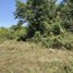  Land for sale in Choeng Thale, Phuket, Choeng Thale, Thalang, Phuket