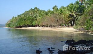 N/A Grundstück zu verkaufen in Ko Yao Noi, Phangnga 