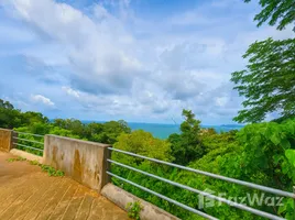 ขายที่ดิน ใน กมลา, ภูเก็ต, กมลา