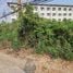  Land for sale in Thailand, Nong Chok, Bang Pakong, Chachoengsao, Thailand