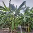 Land for sale in Lak Si Bangkok, Thung Song Hong, Lak Si