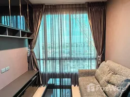 1 Bedroom Apartment for rent at The Sky Sukhumvit, Bang Na, Bang Na, Bangkok, Thailand