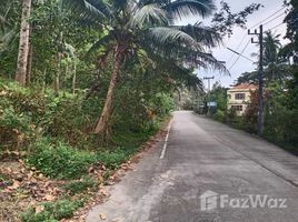 Grundstück zu verkaufen in Ko Pha-Ngan, Surat Thani, Ban Tai, Ko Pha-Ngan