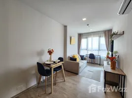 1 Bedroom Apartment for rent at THE BASE Height-Chiang Mai, Wat Ket, Mueang Chiang Mai, Chiang Mai