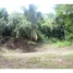  Land for sale in Guanacaste, Nicoya, Guanacaste