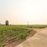  Land for sale in Kamphaeng Phet, Thep Nakhon, Mueang Kamphaeng Phet, Kamphaeng Phet
