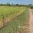  Terrain for sale in Yasothon, Fa Yat, Maha Chana Chai, Yasothon