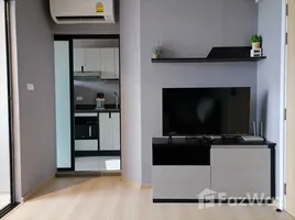 1 Bedroom Condo for rent at Rise Rama 9, Bang Kapi, Huai Khwang, Bangkok, Thailand