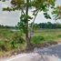  Land for sale in Nuea Khlong, Krabi, Pakasai, Nuea Khlong