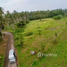  Land for sale in Thong Chai, Bang Saphan, Thong Chai