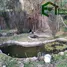 在Calca, Cusco出售的 土地, Calca, Calca