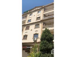 3 спален Квартира в аренду в El Narges Buildings, Al Narges, New Cairo City, Cairo, Египет