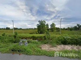  Land for sale in Tuyong, Nong Chik, Tuyong