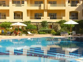 Appartement 1 chambre à vendre à Florenza Khamsin, Arabia Area, Hurghada, Red Sea, Égypte