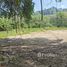  Land for sale in Sakhu, Phuket, Sakhu