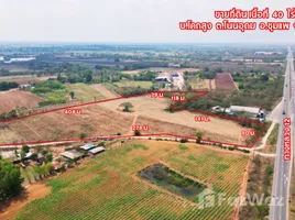  Land for sale in Khon Kaen, Non Udom, Chum Phae, Khon Kaen
