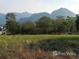  Land for sale in Mu Si, Nakhon Ratchasima, Mu Si, Pak Chong