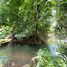  Grundstück zu verkaufen in Thong Pha Phum, Kanchanaburi, Hin Dat, Thong Pha Phum, Kanchanaburi, Thailand