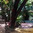 4 Bedroom Villa for rent in Chamkar Mon, Phnom Penh, Tuol Tumpung Ti Muoy, Chamkar Mon