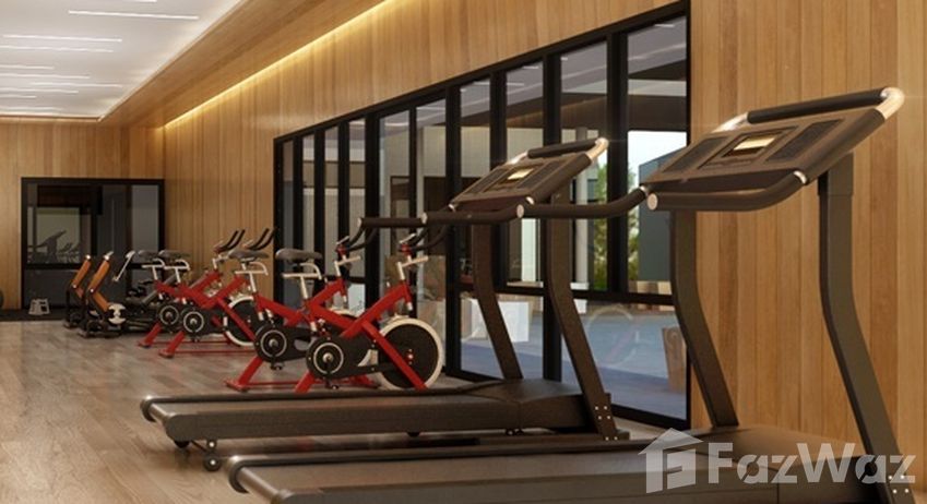 รูปถ่าย 1 of the Communal Gym at ปาล์ม วิลล์ แยกข่วงสิงห์-โชตนา