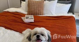 ยูนิตที่เหลืออยู่ในโครงการ แกรนด์ พาร์ค ทาวน์ อาคาร ซี