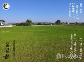  Land for sale in Chiang Mai, Khi Lek, Mae Taeng, Chiang Mai