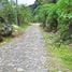  Terreno (Parcela) en venta en Costa Rica, Pérez Zeledón, San José, Costa Rica