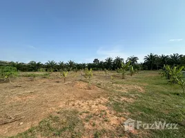 在Takua Thung, 攀牙出售的 土地, Kalai, Takua Thung