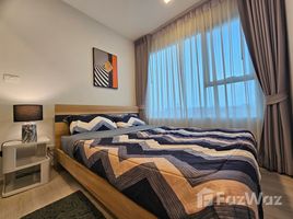 Studio Penthouse for rent at Plum Condo Sukhumvit 62, Bang Chak, Phra Khanong, Bangkok, Thailand