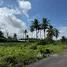  Terreno (Parcela) en venta en Blahbatu, Bali, Blahbatu, Gianyar, Bali