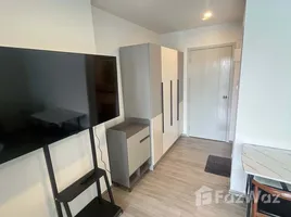 อพาร์ทเม้นท์ สตูดิโอ ให้เช่า ในโครงการ รีเจ้นท์ โฮม บางนา, บางนา, บางนา, กรุงเทพมหานคร, ไทย