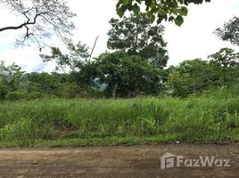  Terrain for sale in Hojancha, Guanacaste, Hojancha