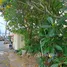  Land for sale in Talat Nuea, Phuket, Talat Nuea, Phuket Town, Phuket