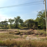  Land for sale in Nakhon Ratchasima, Thong Chai Nuea, Pak Thong Chai, Nakhon Ratchasima