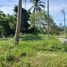  Land for sale in Bang Po Beach, Maenam, Maenam