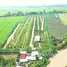  Đất for sale in An Giang, Định Thành, Thoại Sơn, An Giang