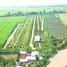  Land for sale in An Giang, Dinh Thanh, Thoai Son, An Giang