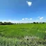  Land for sale in Phraphut, Nakhon Ratchasima, Phraphut, Chaloem Phra Kiat, Nakhon Ratchasima