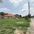 ขายที่ดิน ใน ป่าตัน, เชียงใหม่, ป่าตัน, เมืองเชียงใหม่, เชียงใหม่, ไทย