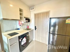 คอนโด 1 ห้องนอน ให้เช่า ในโครงการ เอสเซ็นท์ หาดใหญ่, เทศบาลนครหาดใหญ่, หาดใหญ่