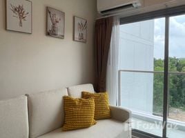 1 Bedroom Apartment for rent at Phyll Phuket by Central Pattana, Wichit, Phuket Town
