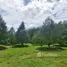 Land for sale in Song Salueng, Rayong, Song Salueng, Klaeng