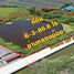  Земельный участок for sale in Ban Ko, Samut Sakhon, Ban Ko, Mueang Samut Sakhon