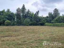 ขายที่ดิน ใน น้ำแพร่, เชียงใหม่, น้ำแพร่