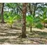  Terreno (Parcela) en venta en Roatan, Islas De La Bahia, Roatan