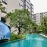 在Dcondo Reef Phuket租赁的1 卧室 公寓, 卡图, 卡图, 普吉