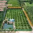  Land for sale in Ban Laeng, Rayong, Ban Laeng
