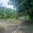  Land for sale in Mueang Phetchaburi, Phetchaburi, Don Yang, Mueang Phetchaburi